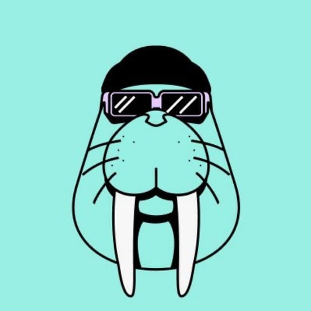 Walrus Testnet (Kyro x Winsnip)